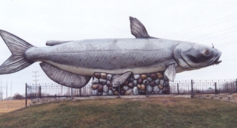 fish_1
