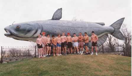 fish_team_1
