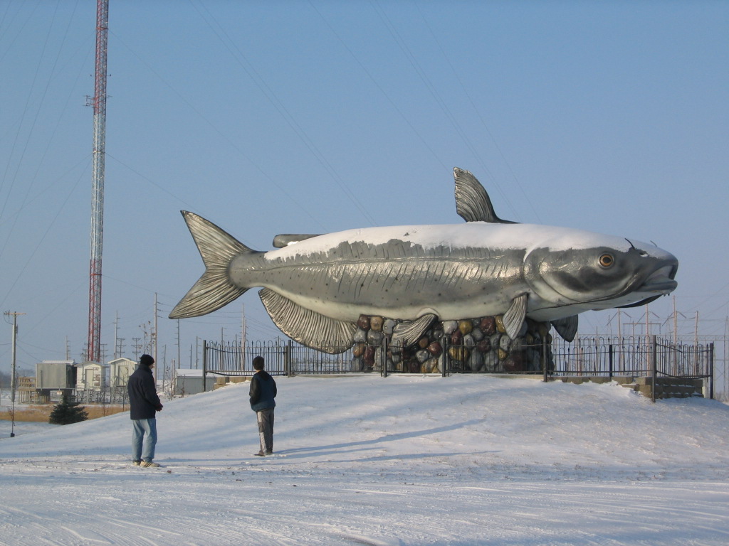 newguys_fish
